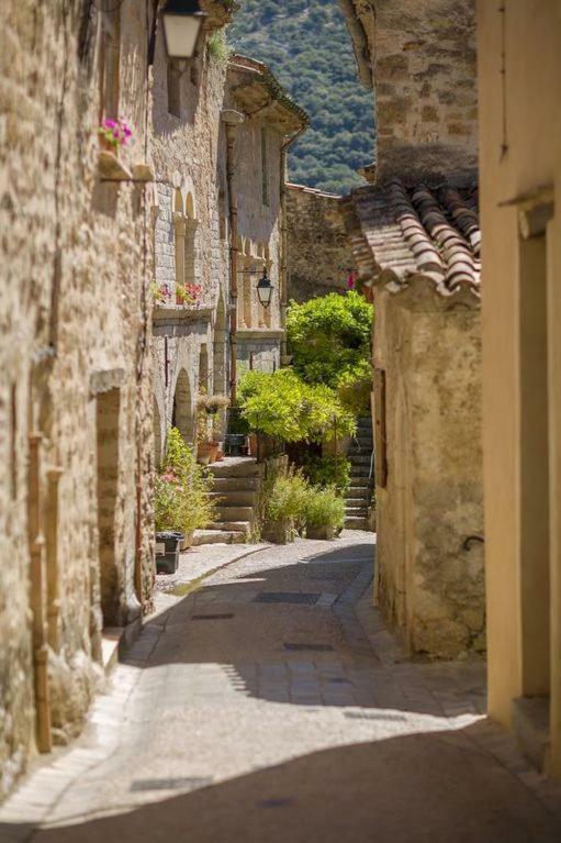 Charmante Maison A Saint Guilhem Le Desert Exterior photo